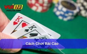 bài cào