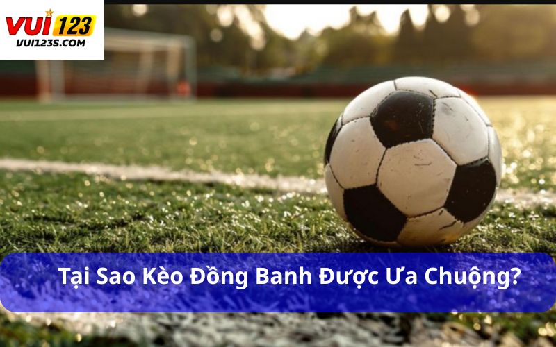 Kèo Đồng Banh Là Gì? Giải Thích Chi Tiết Từ A-Z Cho Tân Thủ Tại sao kèo đồng banh được ưa chuộng?
